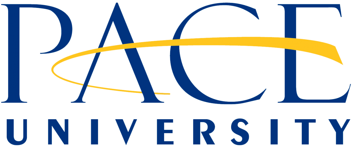 Pace University Lubin School of Business