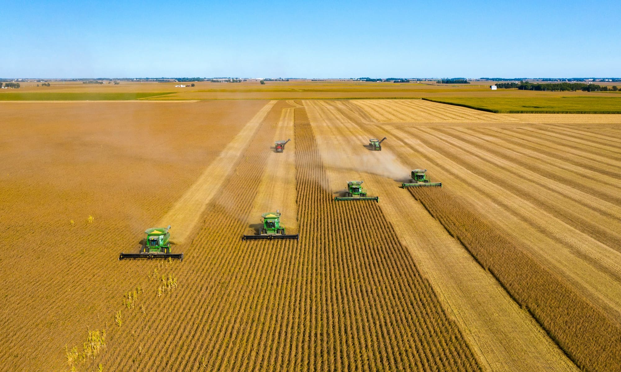 Terres et dérèglement climatique : les grands défis du secteur agricole