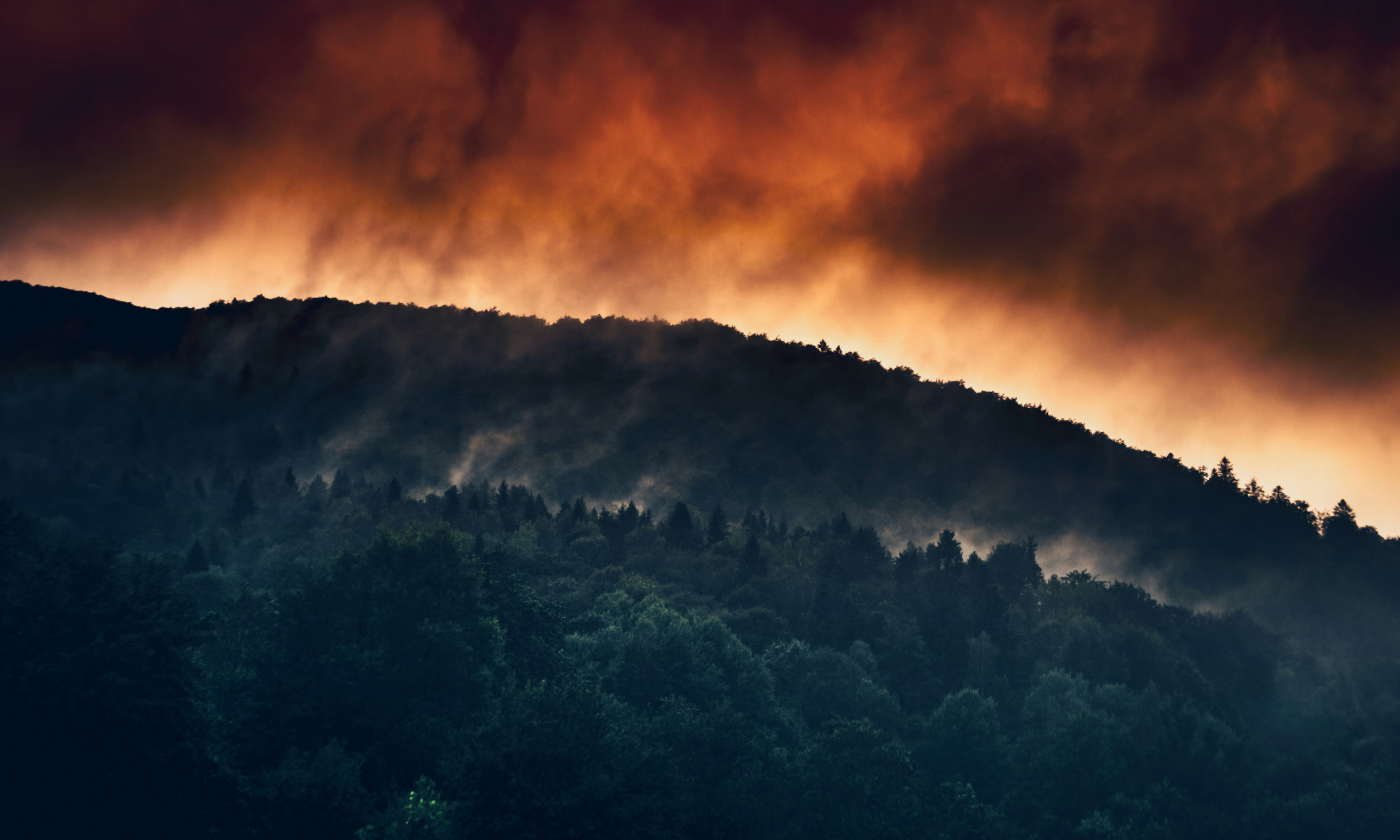 Europe’s wildfire wake-up call: why climate risk isn’t the same everywhere