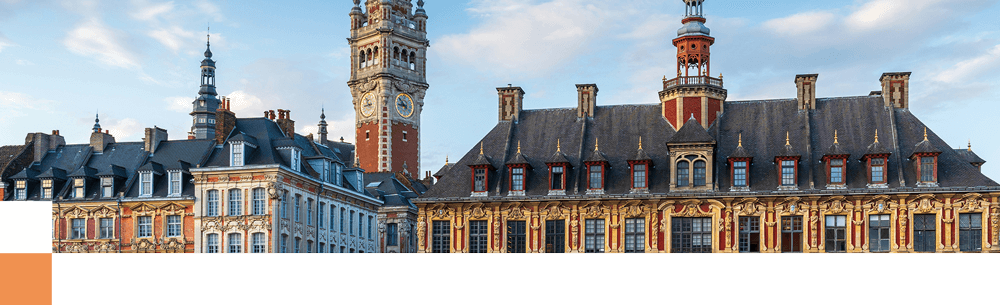 Lille Grand Place view